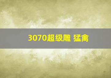 3070超级雕 猛禽